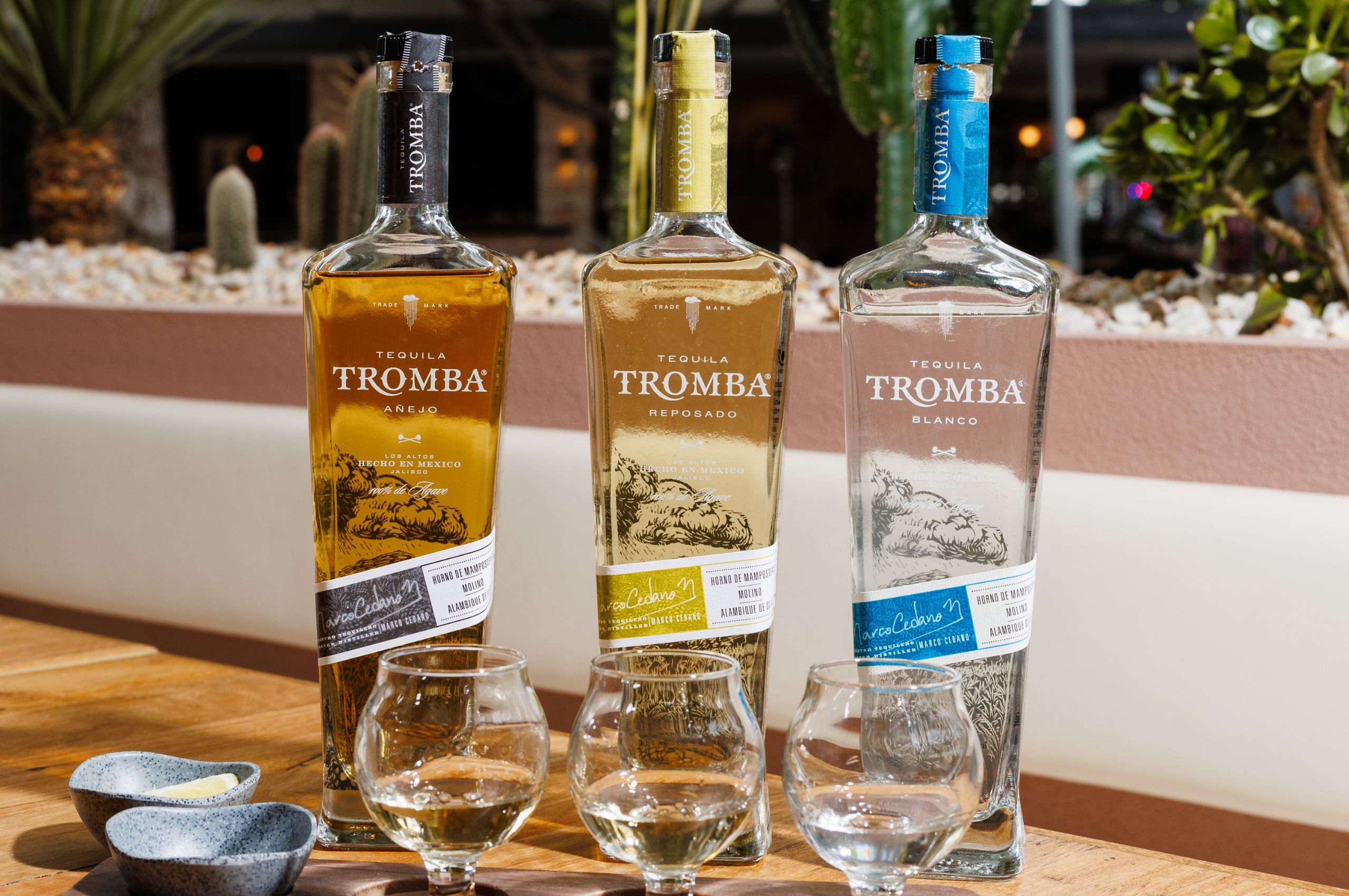 Image of three Tromba Tequila expressions: anejo, blanco and reposado.